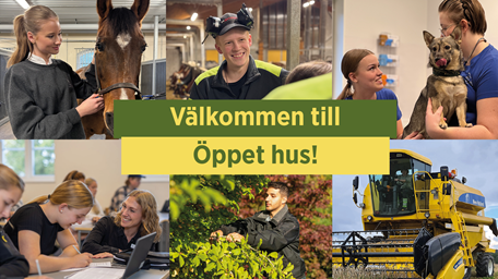 Olika bilder från våra utbildningar med texten "Öppen skola"