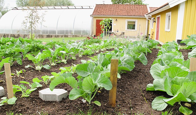 Odling och växthus samt andra byggnader som tillhör trädgårdsanläggningen på Tenhults naturbruksgymnasium
