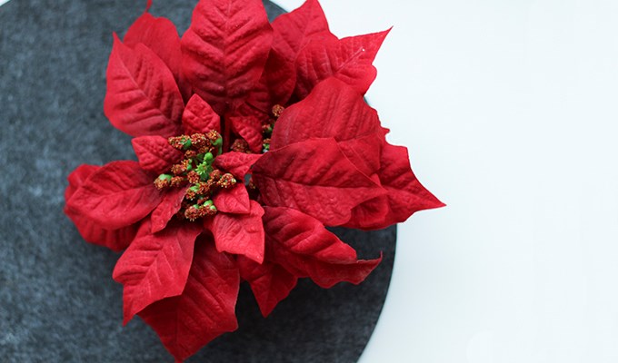 Tranås Folktandvård har ändrade öppettider under jul och nyår