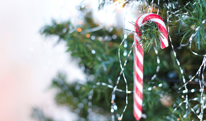 Avdelningen för parodontologi har ändrade öppettider under jul och nyår