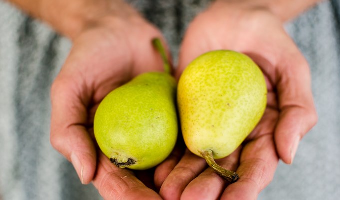 Händer som håller ett par päron