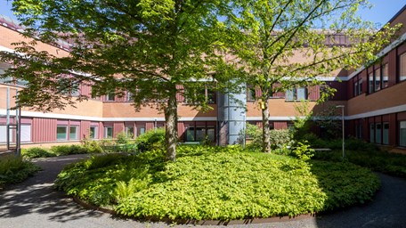 En träddunge framföra en tegelbyggnad, som är en del av Länssjukhuset Ryhov.