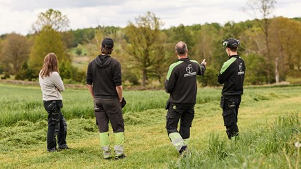 Fyra personer står på en åker där man nyligen har slått vall och diskuterar skörden. 