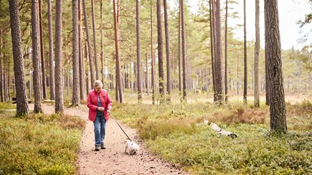 Motionär promenerar på skogsstig med hund