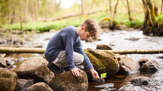 Pojke vid en bäck i en skog