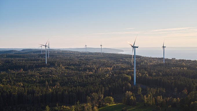 En flygbild som visar vindkraftverk i ett skogslandskap. 