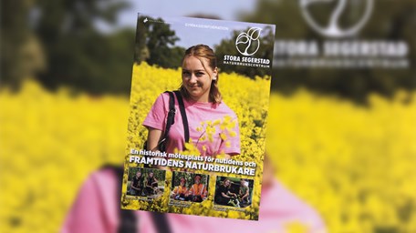 Framsidan av vår tidning om skolan.