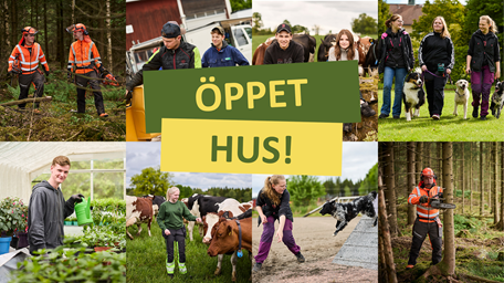 Bildcollage med elever från naturbruksprogrammem. Texten Öppet hus! står mitt i bilden.