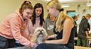 Fyra djurvårdselever står runt en hund som undersöks av en av eleverna med hjälp av ett stetoskop.