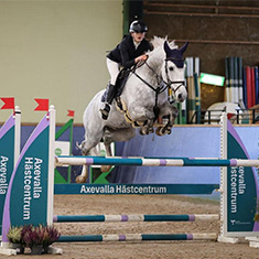 En vit häst hoppar över ett hinder i ett ridhus.