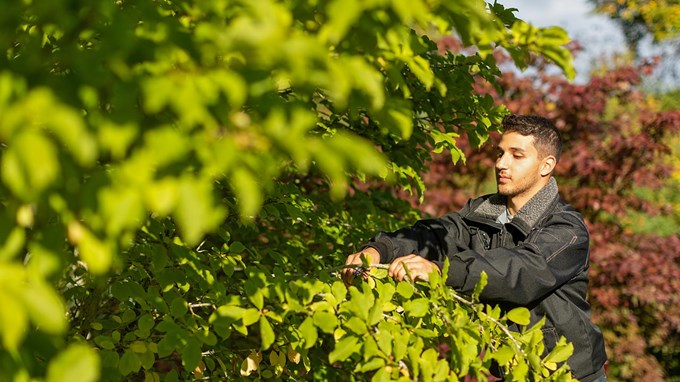 En kille står vid ett grönskande träd.