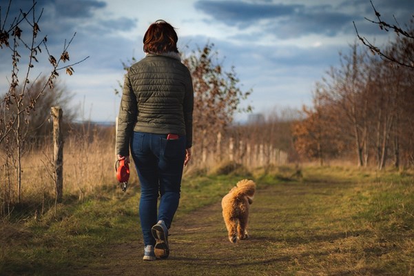 Kvinna på promenad med hund 