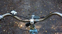 En rostig cykel i höstlöven